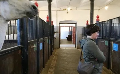 Small group tour to Lipica Stud Farm and Postojna Caves from Zagreb