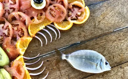 Agadir Fishing Experience