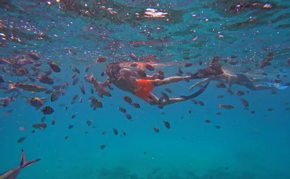 Fujairah snorkelling experience with transfer from Dubai