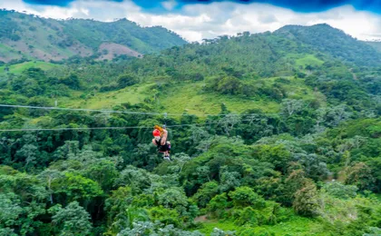 Monkeyland adventure park