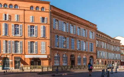 Citytour of Toulouse in panoramic minibus