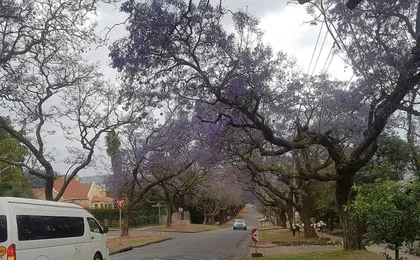 Cullinan Mine and Pretoria City full-day tour from Johannesburg
