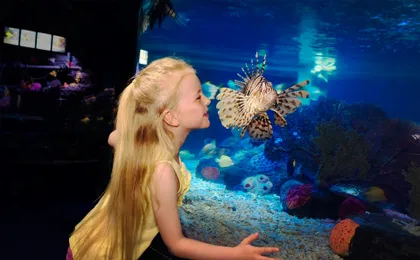 Entrance ticket SEA LIFE Scheveningen