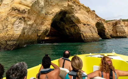 Ophelia dolphins and caves speedboat tour with transport