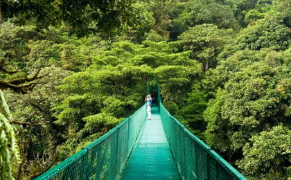 Sky Walk Monteverde Tour