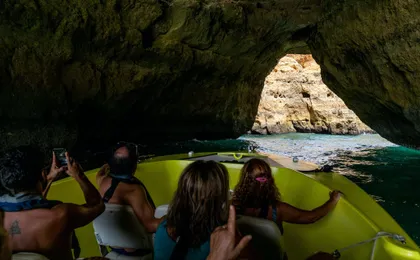 Ophelia dolphins and caves speedboat tour with transport