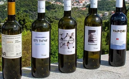Skiathos Wine Tasting Tour
