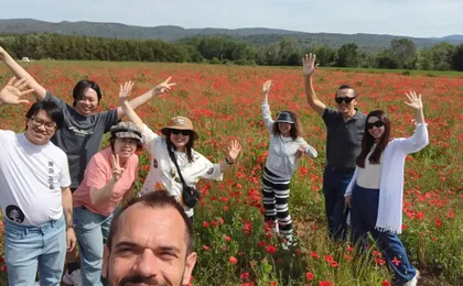 Luberon markets and villages from Aix en Provence