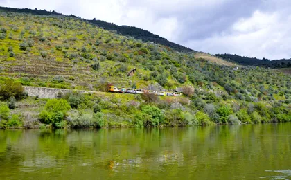 Douro Valley guided tour with wine tasting, lunch and river cruise from Porto