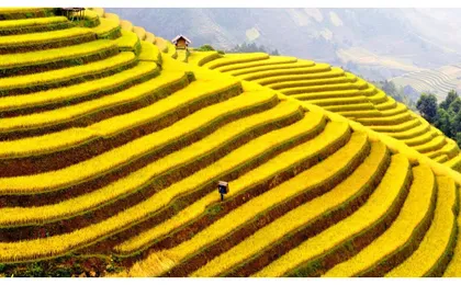 Sapa Instagram adventure, Hmong culture and epic photo spots