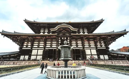 1-day tour to Kyoto and Nara Park from Osaka