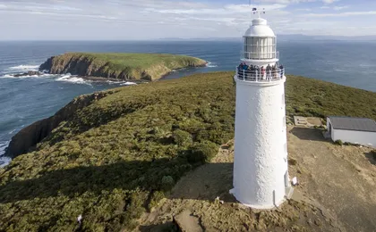 Bruny Island safaris, local food tasting and lighthouse tour