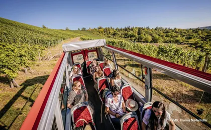 24-hour Stuttgart hop-on hop-off bus winetour