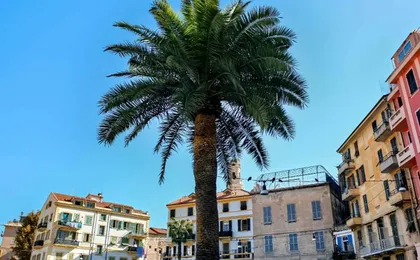 Discover Antibes in 1 hour with a local
