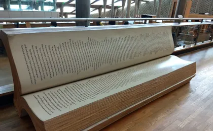 Half-day National Museum and Alexandrina Bibliotheca tour