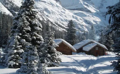 Lake Louise, Yoho National Park and Moraine Lake tour from Banff