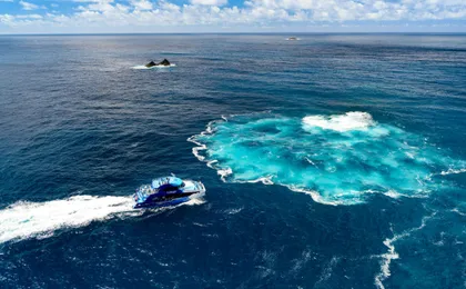 Small group day tour to Bay of Islands from Auckland