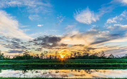 Everglades National Park full-day tour with round-trip transfer
