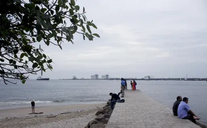 Coastal Serenity: Backwaters, Tea Estates & Marari Beach
