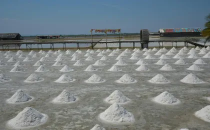 Railway market, floating market, salt farm and cycling tour from Hua Hin