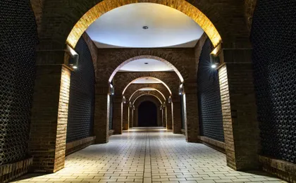 Wine cellar visit and tasting with lunch included  in La Rioja