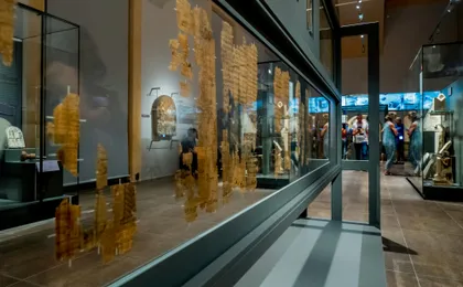 Egyptian Museum of Turin guided tour with skip-the-line tickets