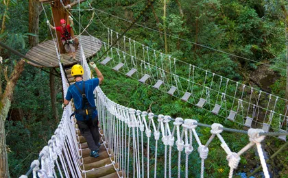 Kohala zipline canopy adventure