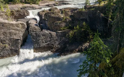 Lake Louise, Yoho National Park and Moraine Lake tour from Calgary