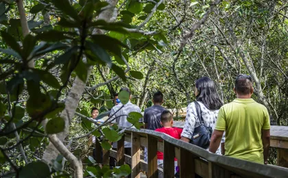 Everglades National Park airboat tour with pick-up from Miami
