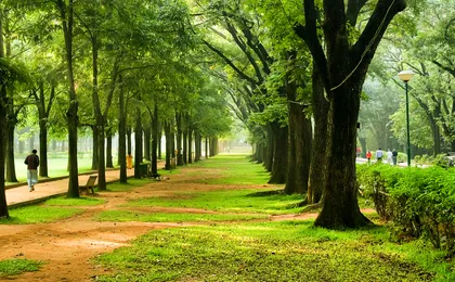 Trails of Tranquility: Bangalore, Hampi & Goa Escapade