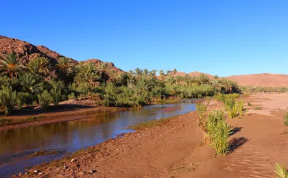 Private Full-Day Tour of Ouarzazate and Oasis Fint
