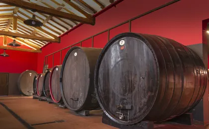 Tasting tour of balsamic vinegar of Modena at Aceto Balsamico del Duca