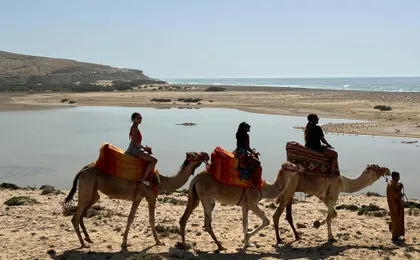 Camel Riding and Moroccan Tea on Tamri Beach from Agadir or Taghazout