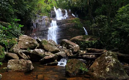 Sinharaja Rain Forest Tour from Hambantota