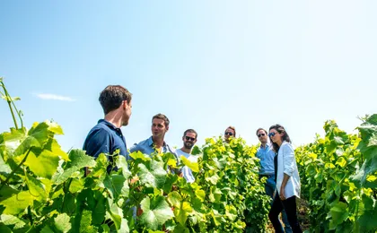 Short day family grower tour and lunch from Reims