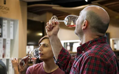 La Rioja winery visit from Bilbao with traditional lunch