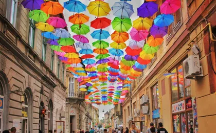 Explore Timișoara's photogenic highlights with a local