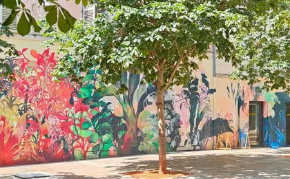 Toulon food walking tour with local flavours and culinary history