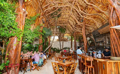 Puerto Morelos Reef snorkelling tour with lunch