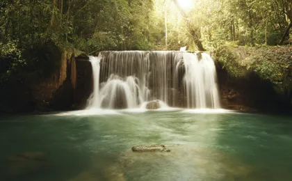 Black River and YS Falls Tour
