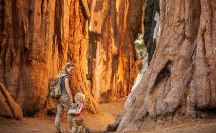 Audio-guided driving tour to Redwood National & State Parks