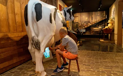 The Story of Edam Cheese museum entrance ticket