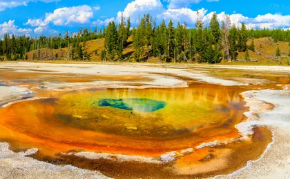 Grand Teton and Yellowstone Self-guided Driving Tours Bundle