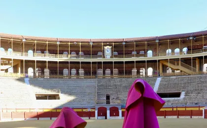 Alicante Bullring Tour and Bullfighting Museum with Audioguide