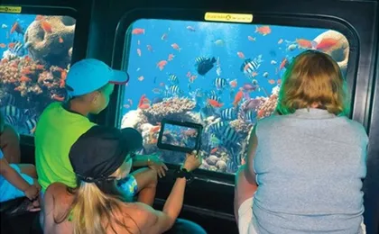Royal Sea Scope Submarine experience from Dahab