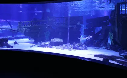 Antalya Aquarium with Shuttle