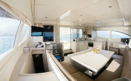 Madeira VIP Whale & Dolphin Watching Cruise