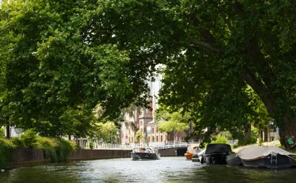 Canal Cruise through the Historic Centre of Haarlem