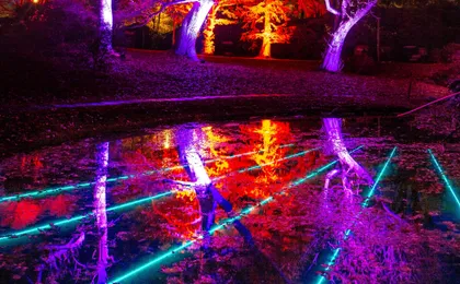 Admire the autumn lights at Sofiero Park