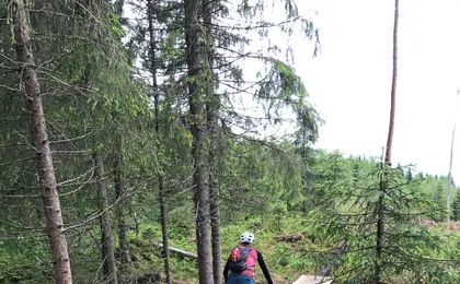 Guided mountain bike tour through the Voss hills
